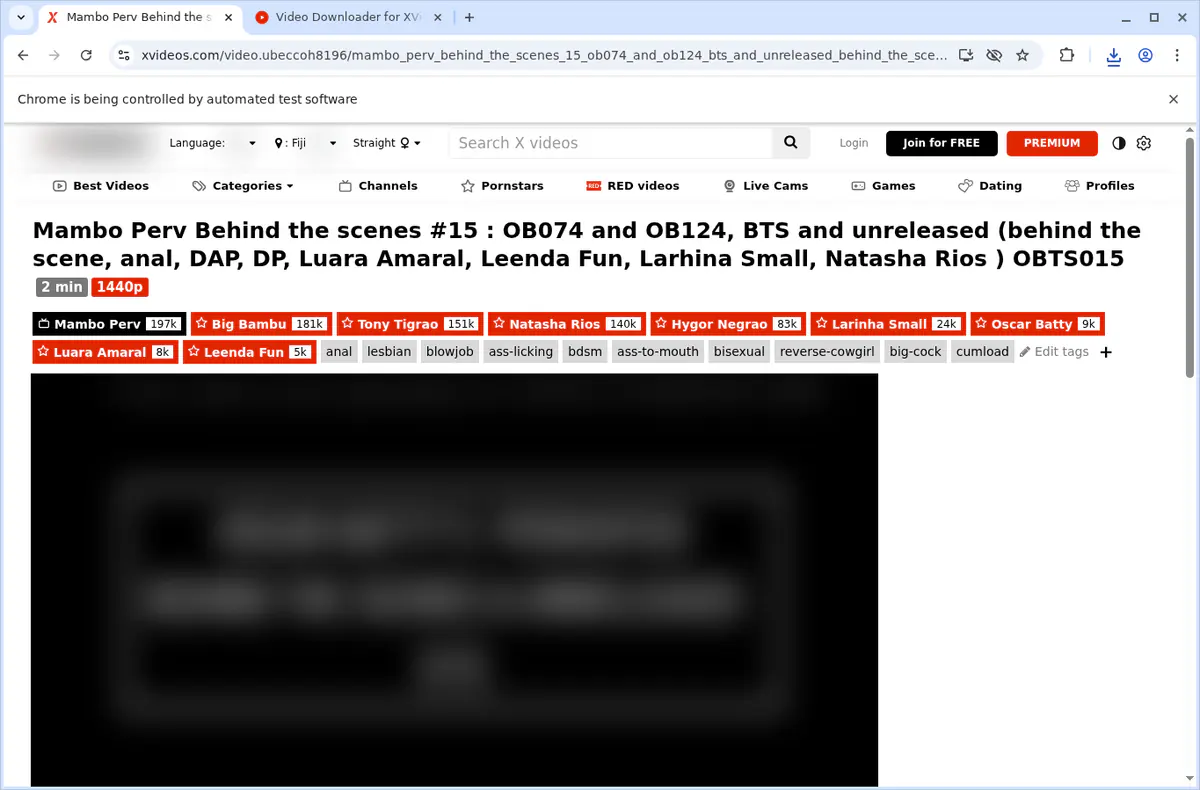 Xvideos Video Downloader browser extension screenshot 4