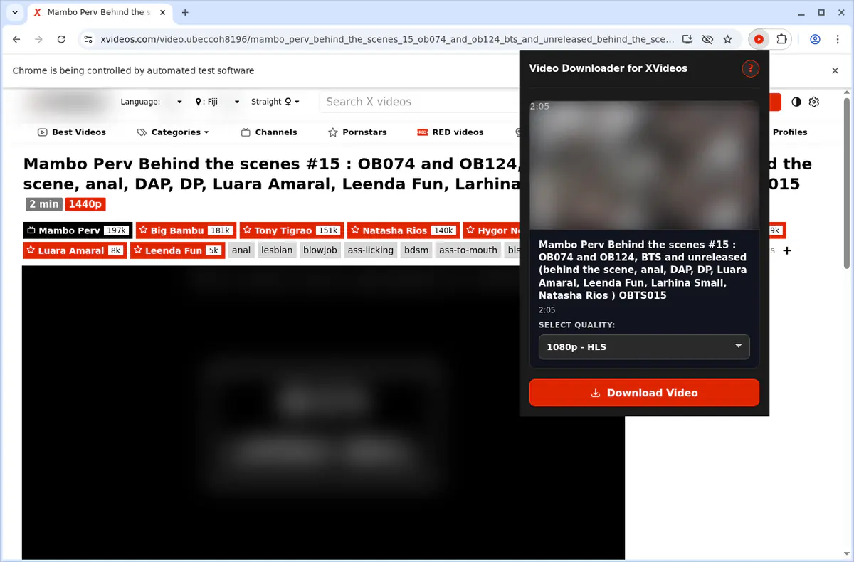 Xvideos Video Downloader browser extension screenshot 5